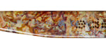 Bebe Bbop1004 Sunglasses - Product image