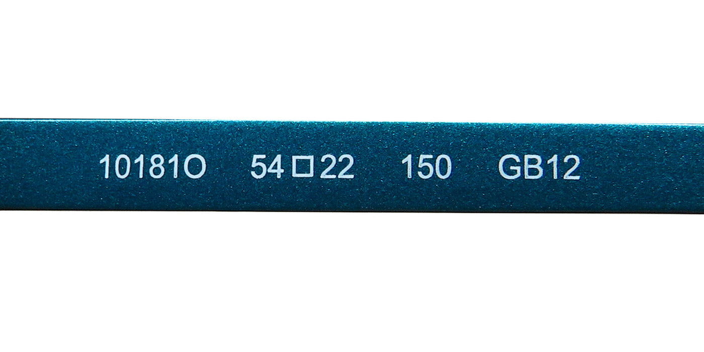 Morel Oga 10181o Eyeglasses