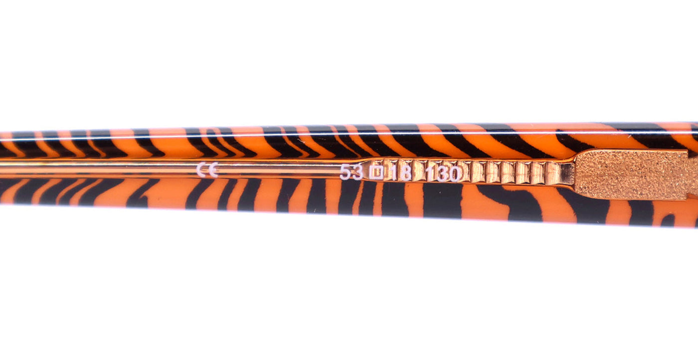 Tigress Tgs108 Eyeglasses - Product image