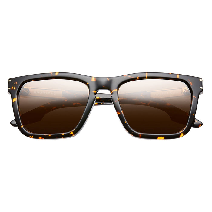 IVI VISION Sunglasses GRAVITAS - Polished Ambercomb Tortoise - Brushed Gold / Bronze AR Lens