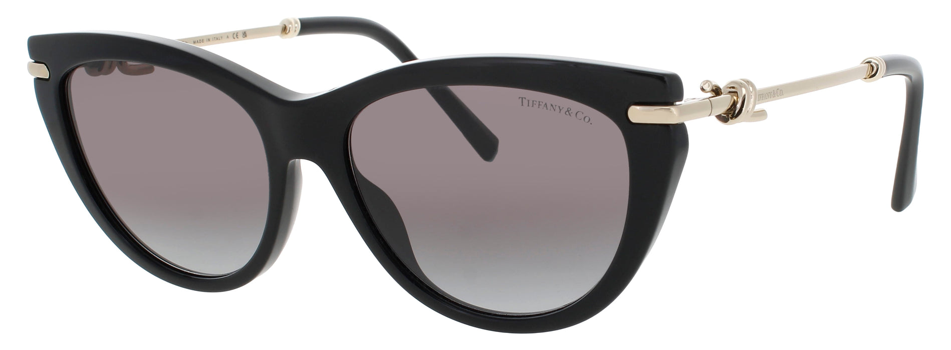 Tiffany & Co Tf4253 Sunglasses