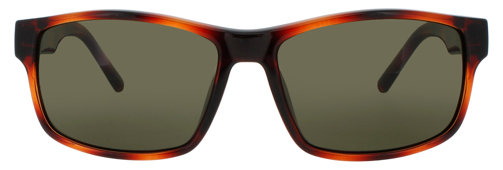 Salvatore Ferragamo Sf960s 214 Sunglasses
