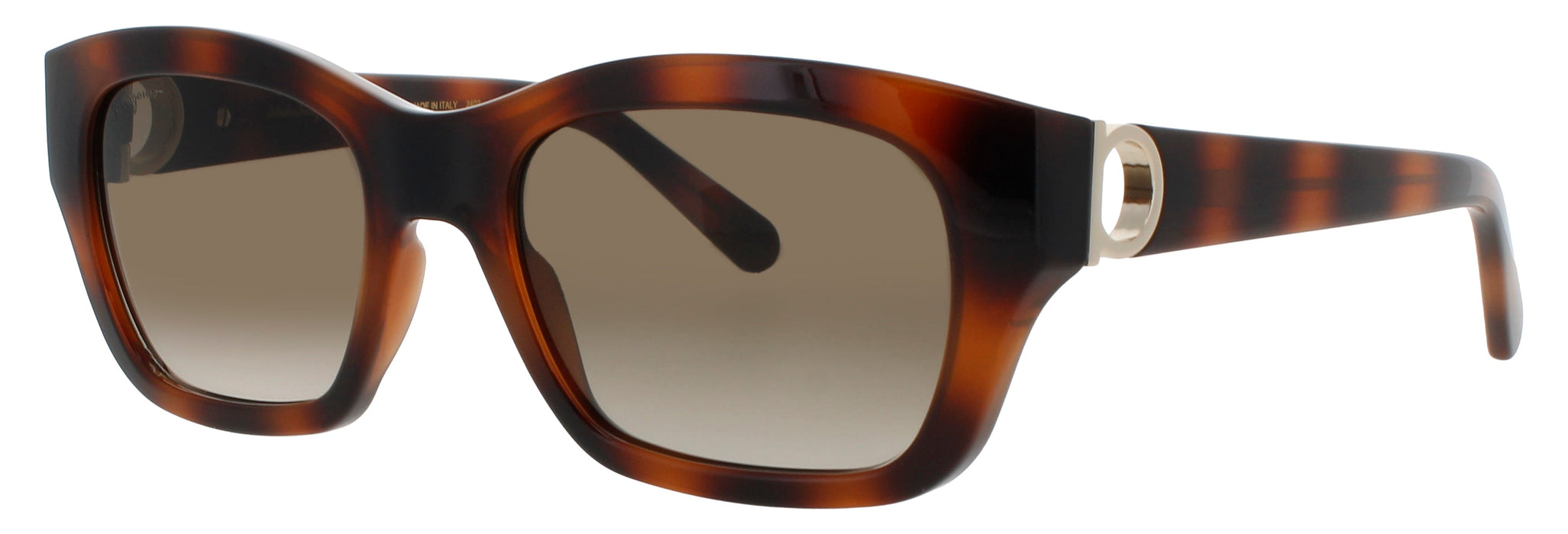 Salvatore Ferragamo Sf1012s Sunglasses