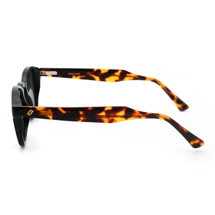 JOPLINS Macaw - Bio Acetate Sunglasses