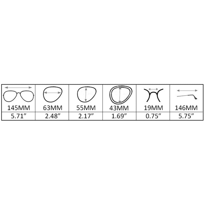 Chloe Walnut Acetate Oversized Sunglasses | Women's | Joycoast