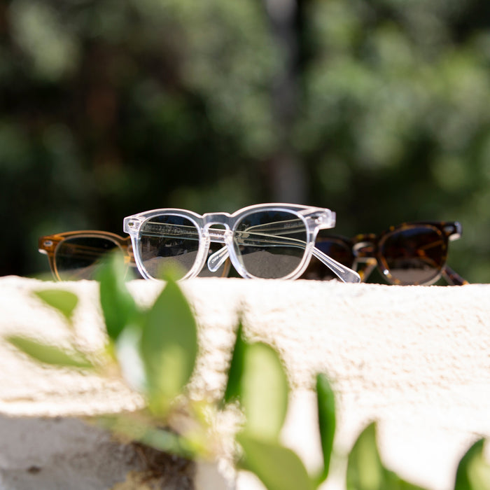 SUNGLASS MUSEUM Clear Acetate Polarized Square Sunglass - Benson