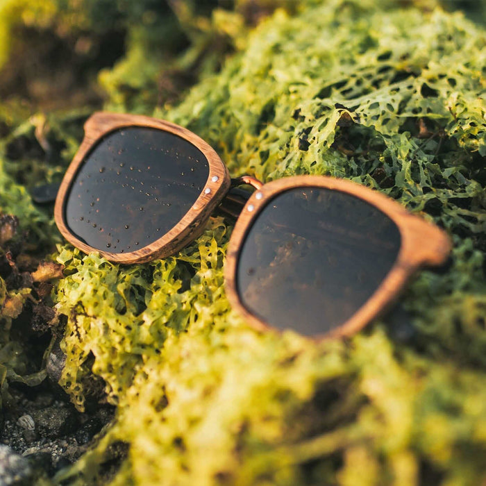 JOPLINS Woodrow - Wooden Sunglasses