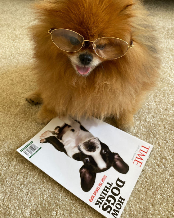 BV3005R Unisex Bravo Prescription Reading Glasses