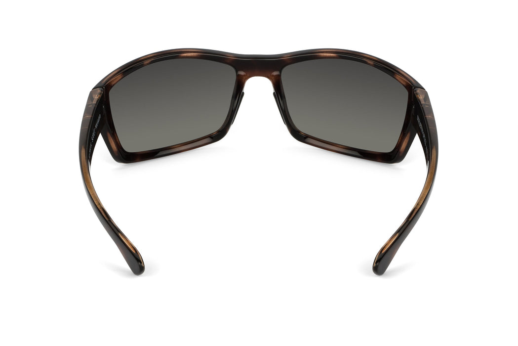 image of sunglasses model Skeleton Optics Scout - Tortoiseshell