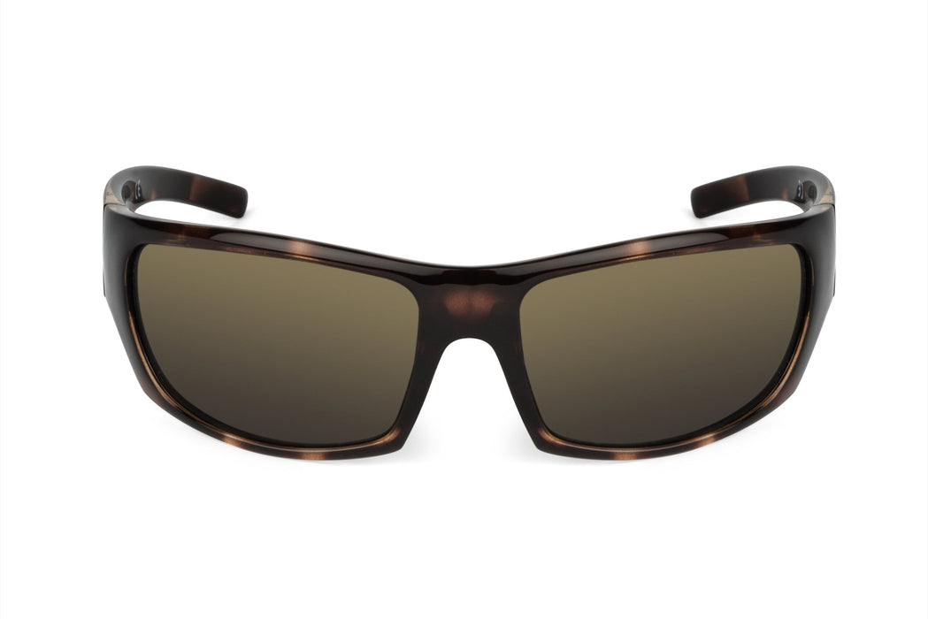 image of sunglasses model Skeleton Optics Renegade - Tortoiseshell