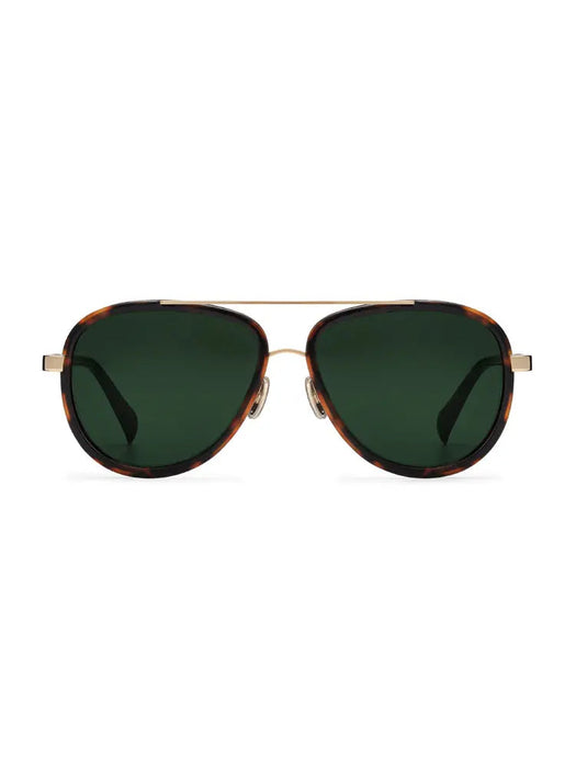 SAINT OWEN Sunglasses STORCH AVIATOR Tortoise | Gold