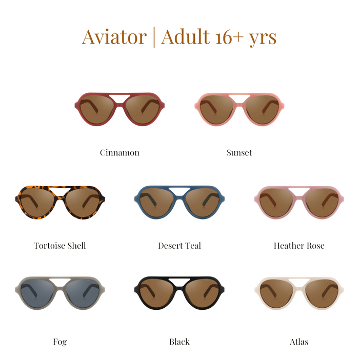 Aviator | Polarized Sunglasses | Adult | 15+ Y | Black