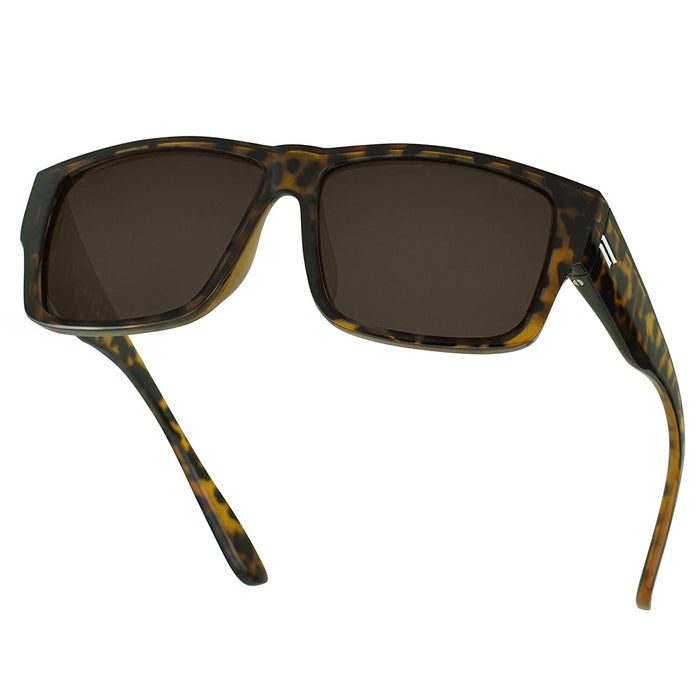 Limited Brown VALLEY Tortoise Polarized