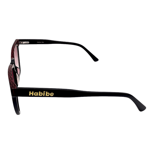 image of sunglasses model Habibe Sunglasses Star
