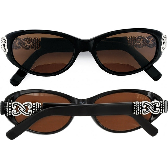 Brighton Sunglasses