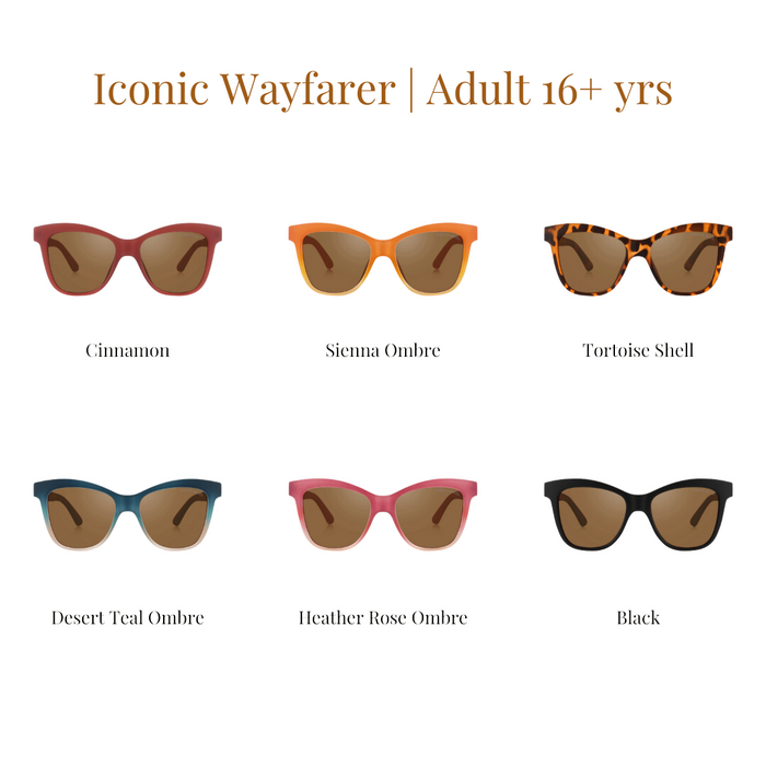 Iconic Wayfarer Ombre  | Polarized Sunglasses | Adult | 15+ Y | Desert Teal Ombre