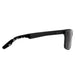 Sunglasses IVI VISION SEPULVEDA Polished Dazzle Brushed Black / Grey Lens