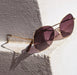 Sunglasses KYPERS ROSARIO Women Fashion Full Frame Round