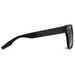 Sunglasses IVI VISION DUSKY Polished Black Brushed Black / Grey Lens